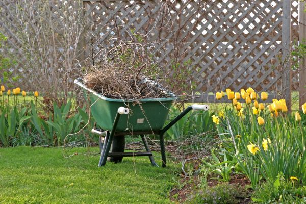 Flower Bed Cleanup Service in Rockford