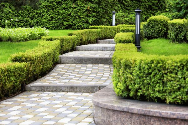 Backyard Remodeling in Rockford