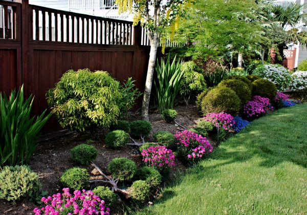 Garden Care Service in Rockford