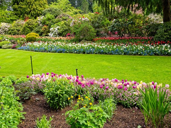 Residential Landscape Design in Rockford
