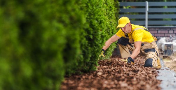 Cypress Mulch Installation in Rockford