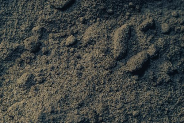 Loam Delivery in Rockford