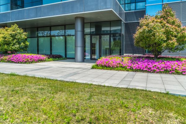 Commercial Gardening in Rockford