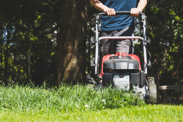 Garden Trimming Service in Rockford