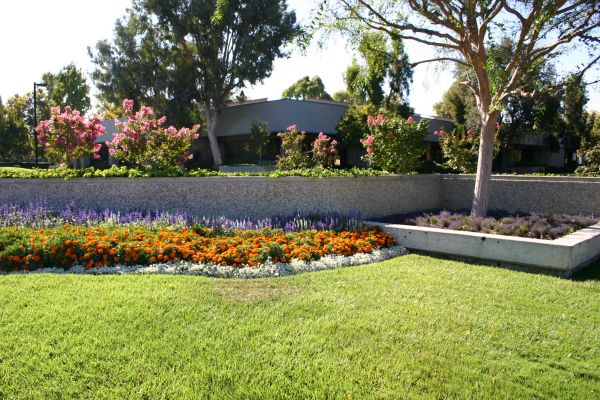 Commercial Landscape Service in Rockford
