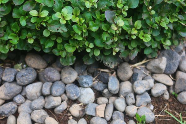 River Stone Installation