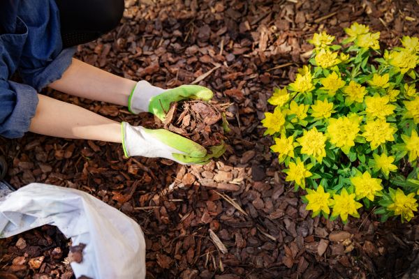 Flower Garden Mulching