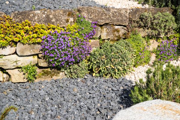 Landscaping Rocks Installation in Rockford