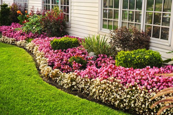 Garden Landscape Design in Rockford