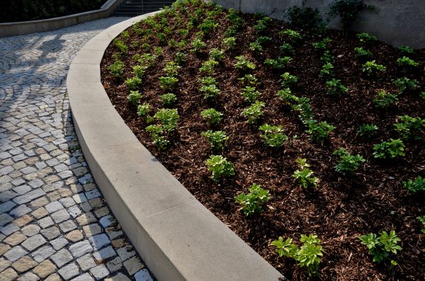 Commercial Mulching in Rockford