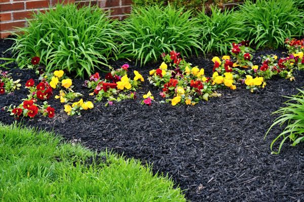 Apartment Mulching in Rockford