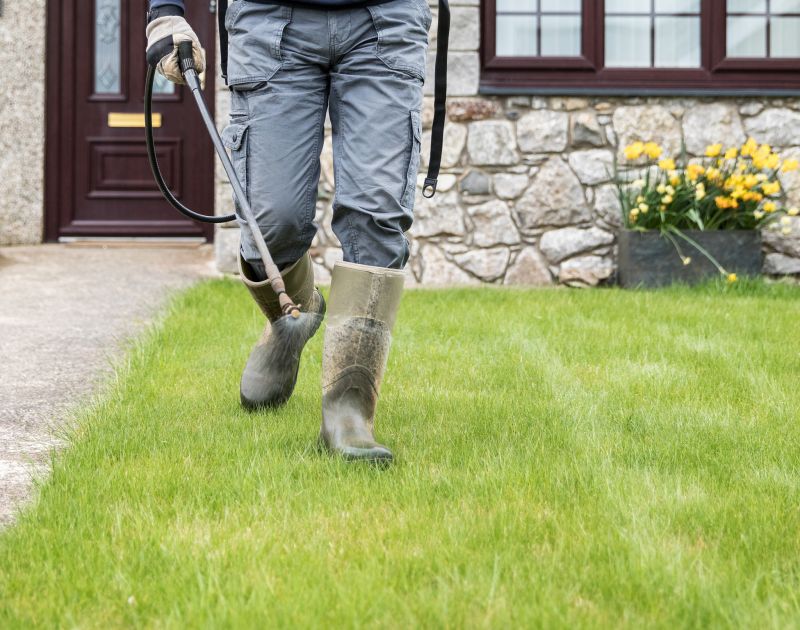 Lawn Repair Service detail