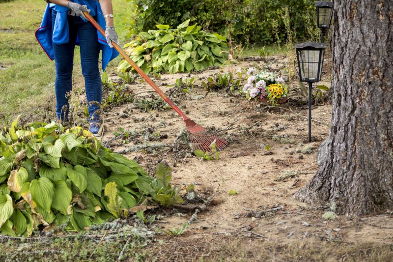 Garden Maintenance Service